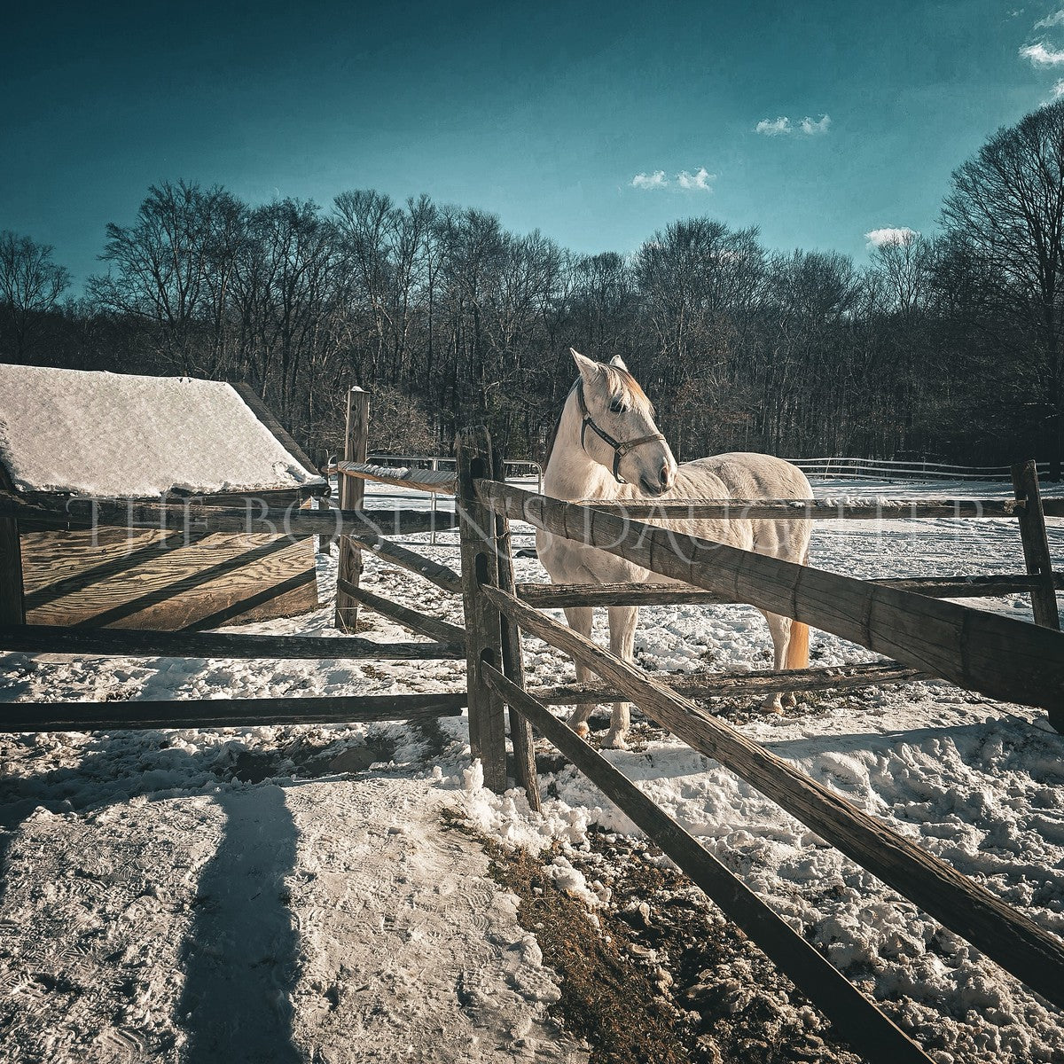White Horse