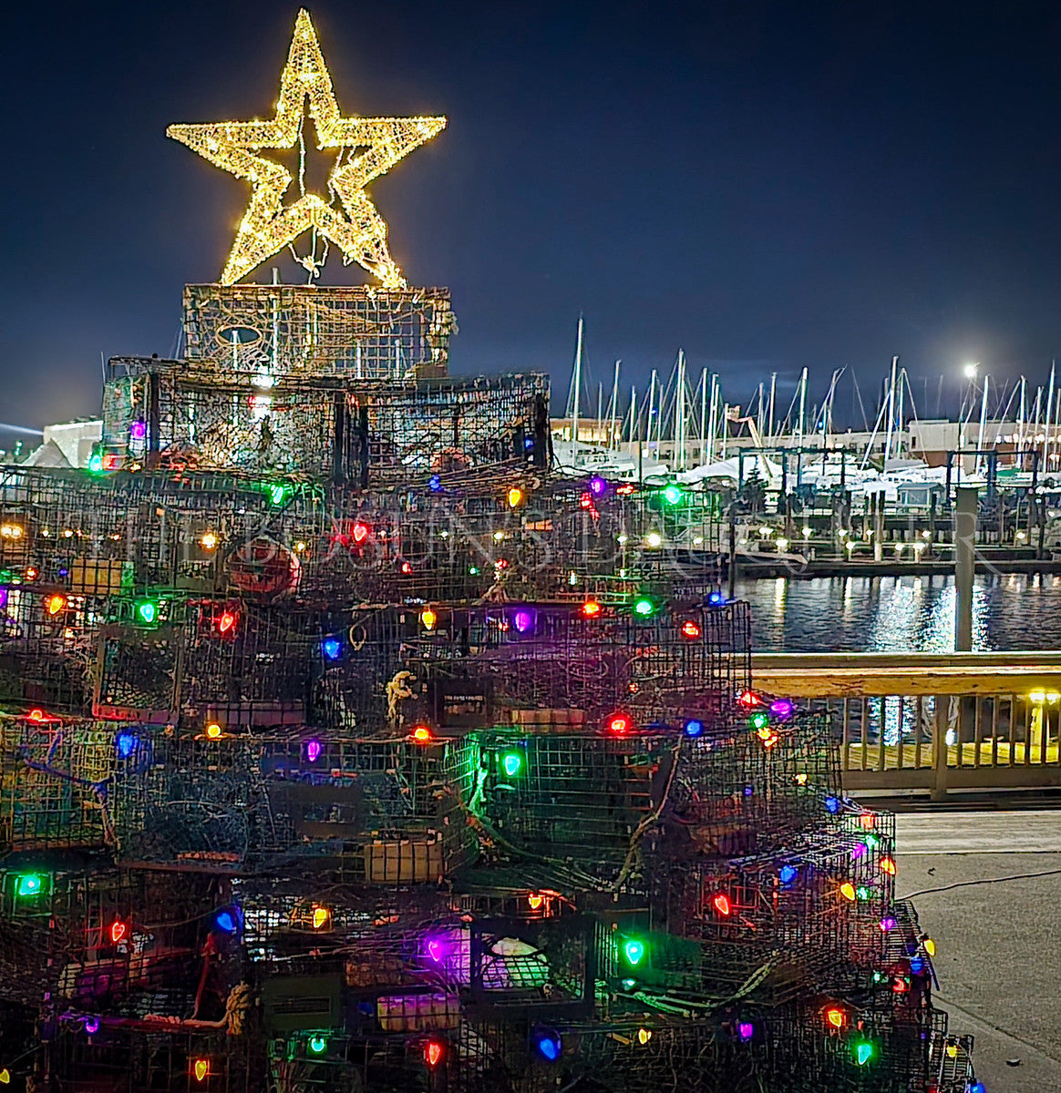 New London's Lobster Pot Christmas Tree