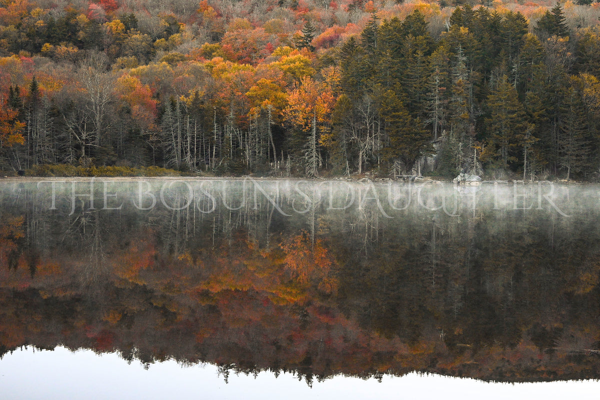 Fall Reflections