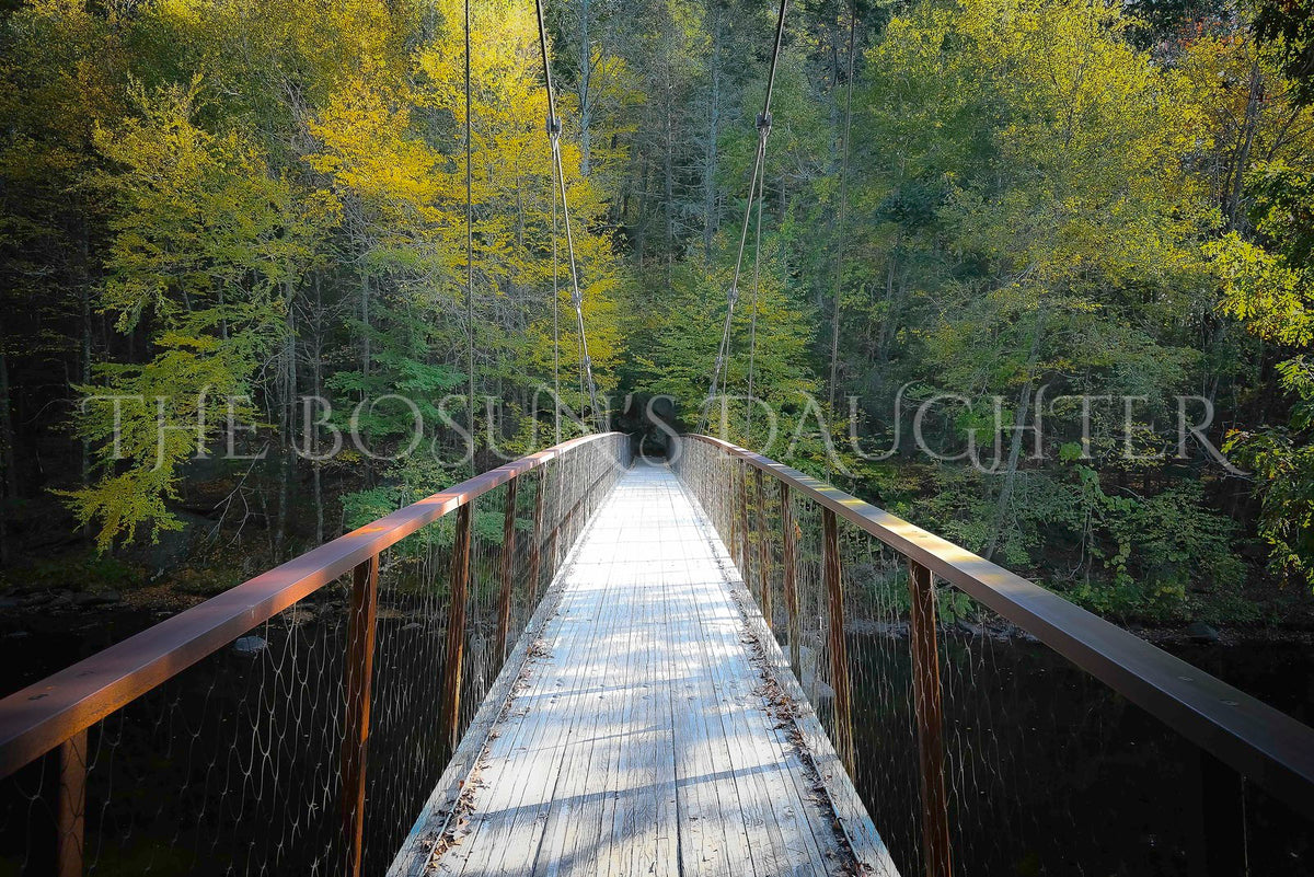 Thoreau's Footbridge