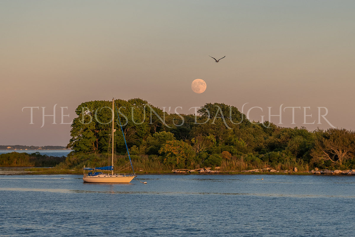 The Bosun's Daughter