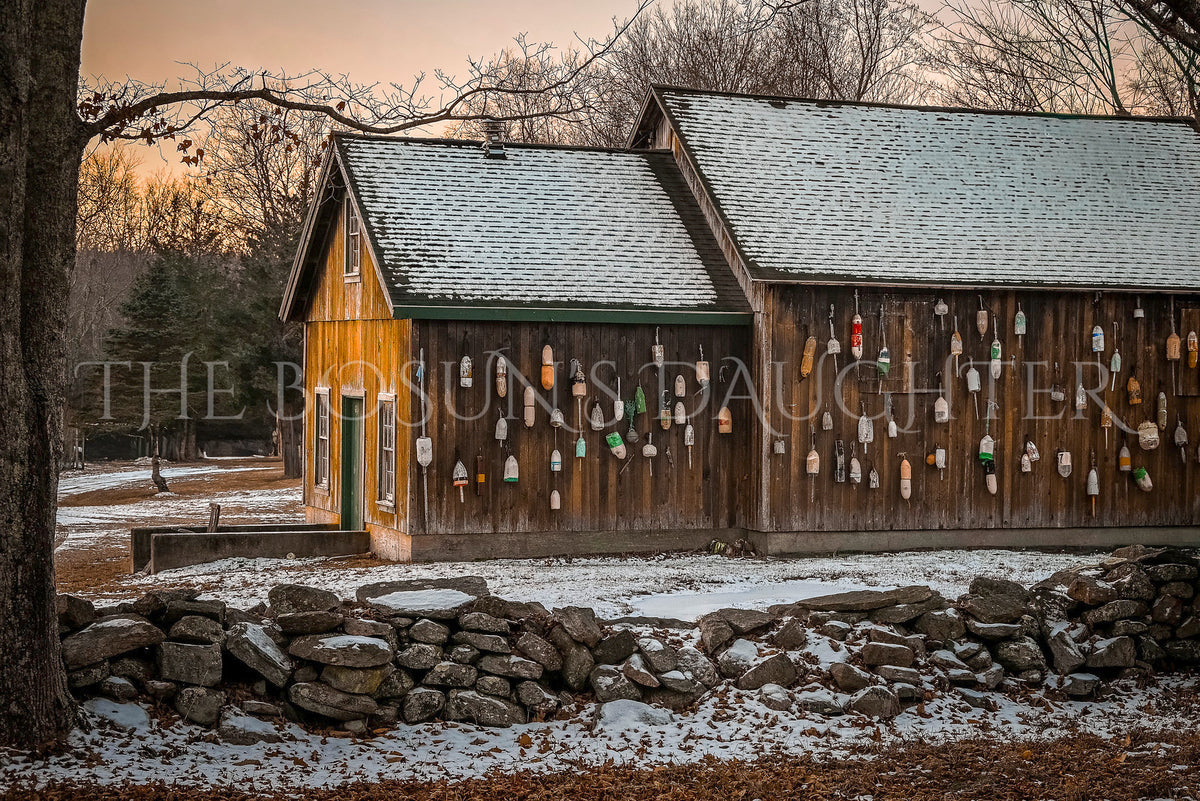 Where the Buoys Winter