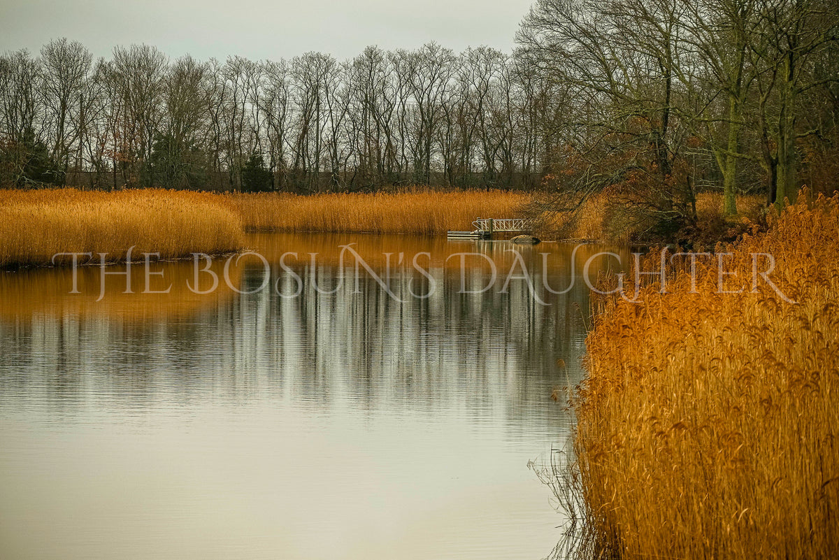 Where Autumn Waters Lead