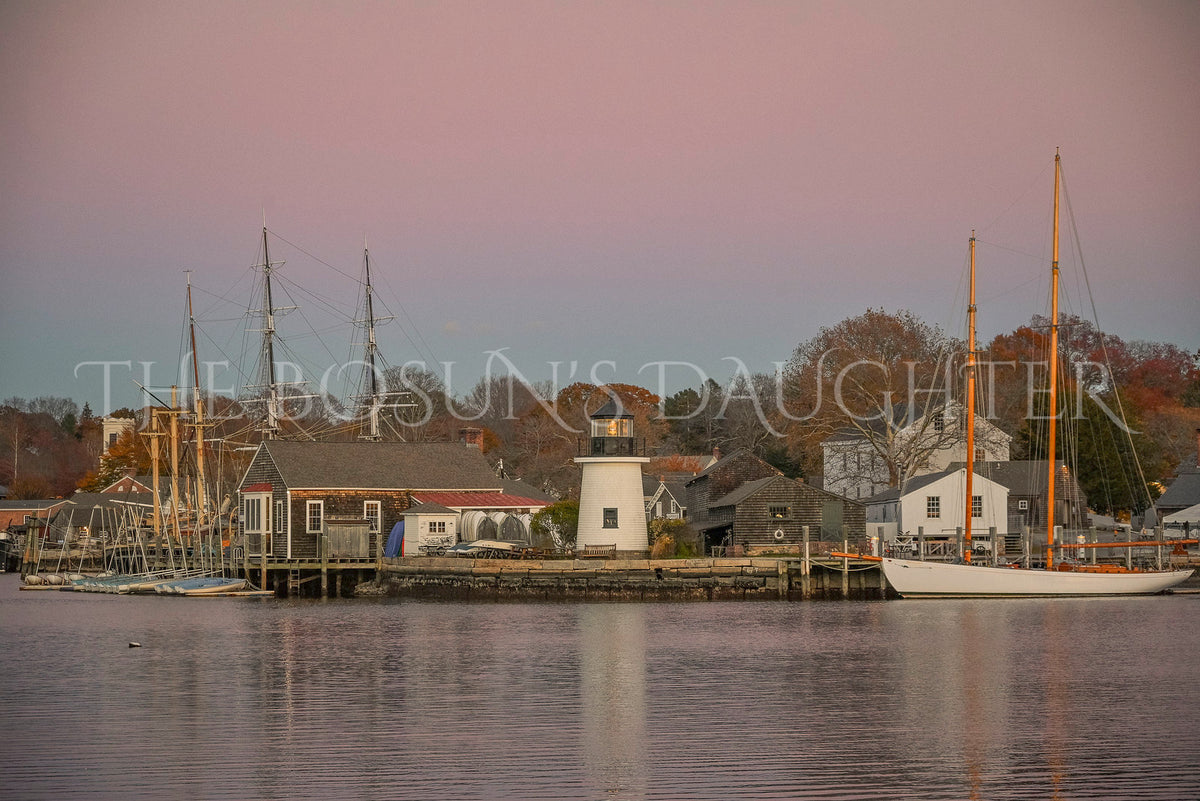 Harbor Holding Lavender Light
