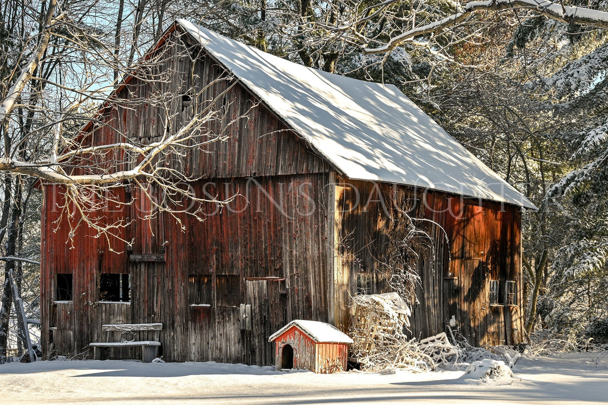 Where Winter Finds Warmth