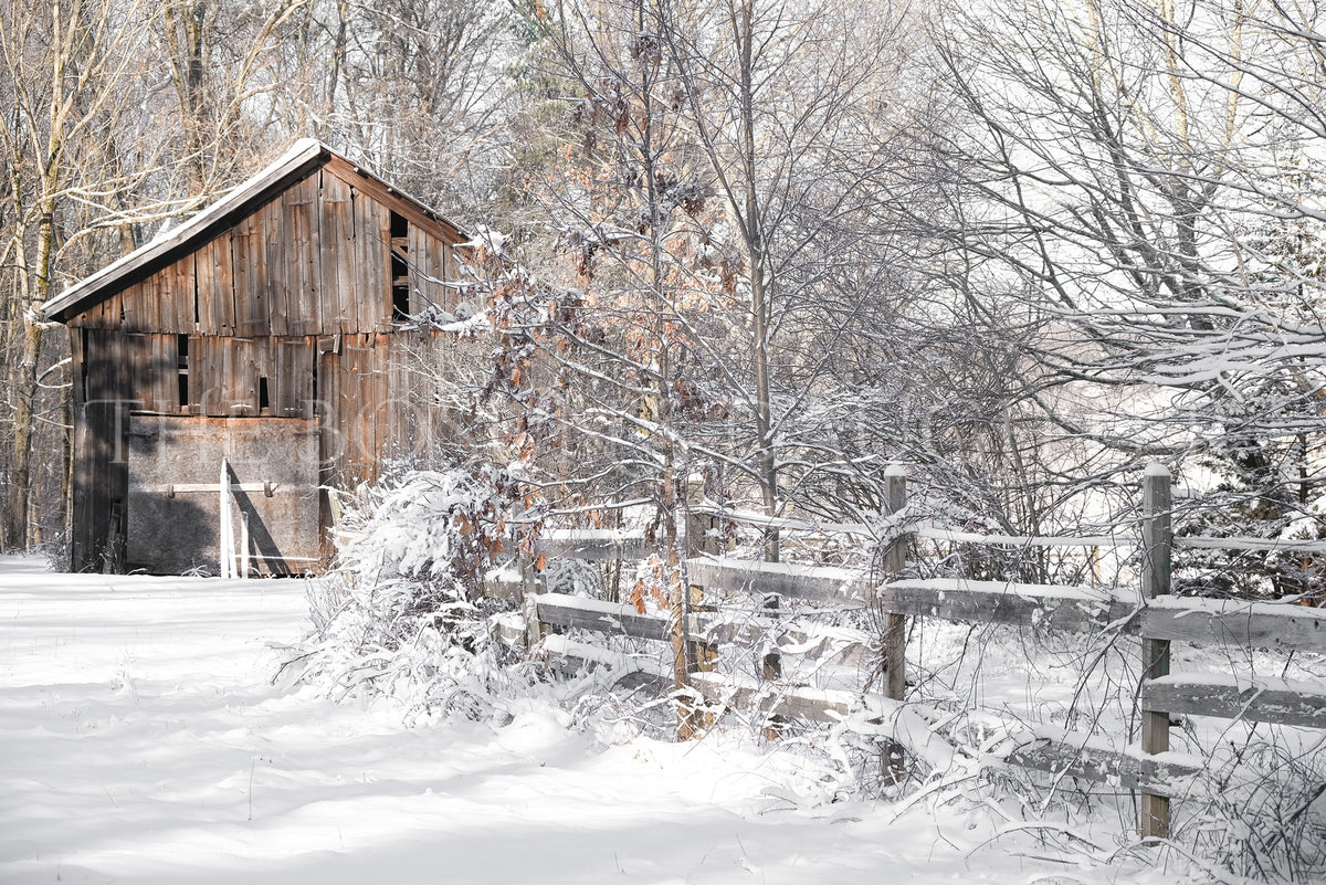 What Winter Leaves Behind