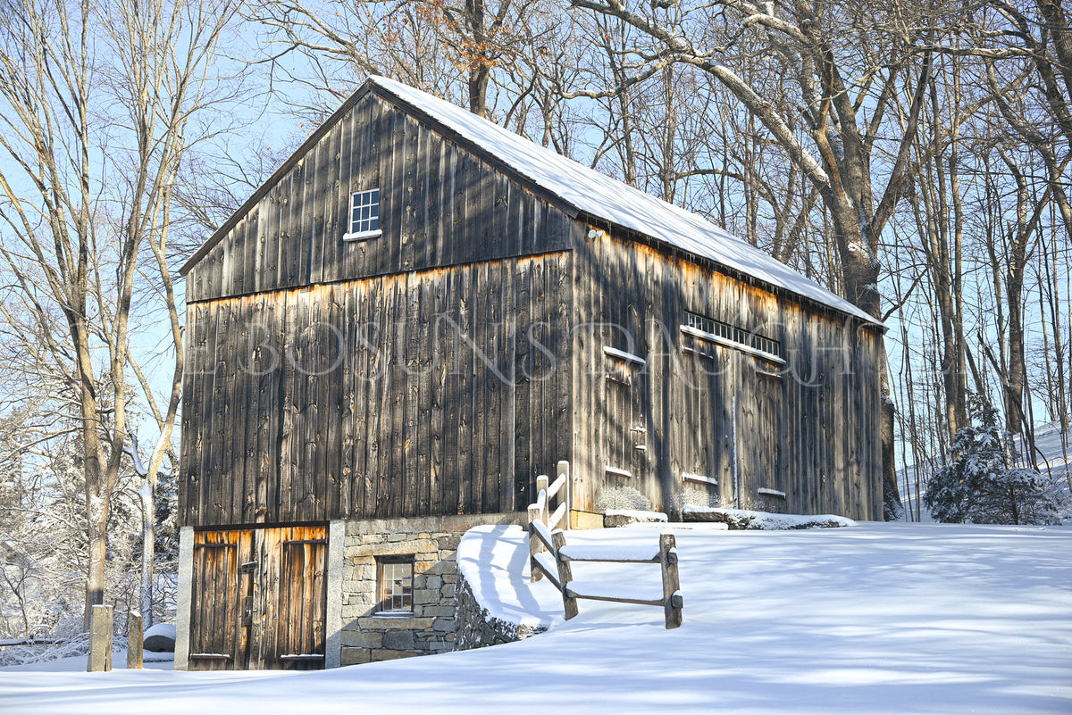 What Winter Preserves