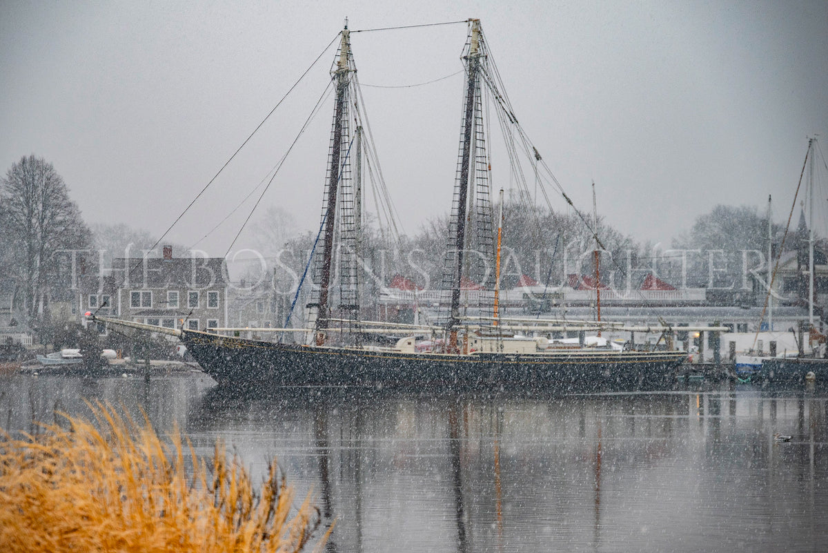 Between Dock and Drift
