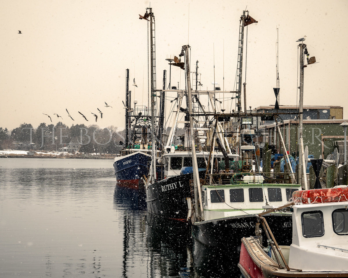 When the Harbor Settles