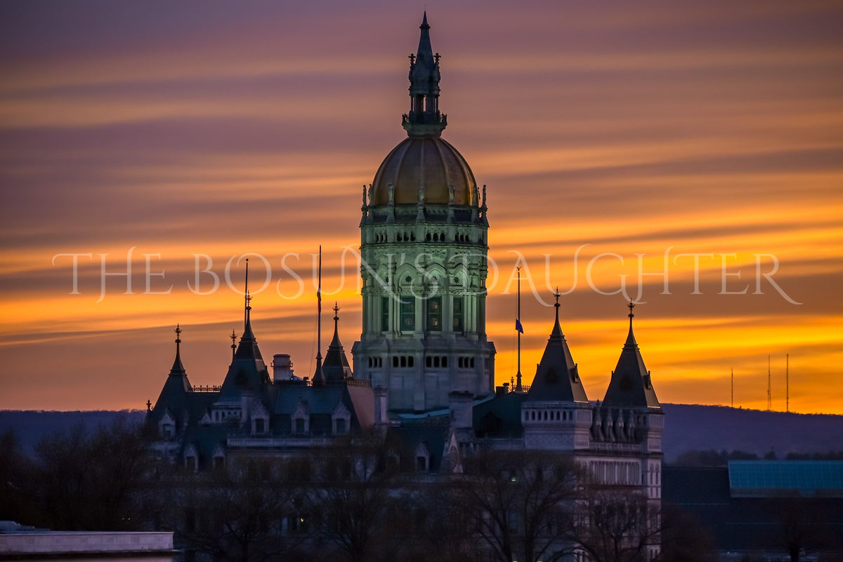 Lavender Hartford