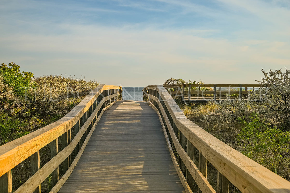 Where the Path Meets the Sea
