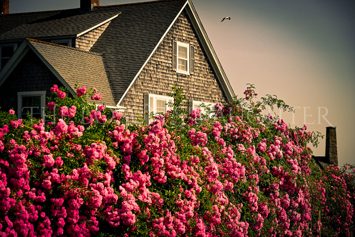 Rambling Rose Cottage