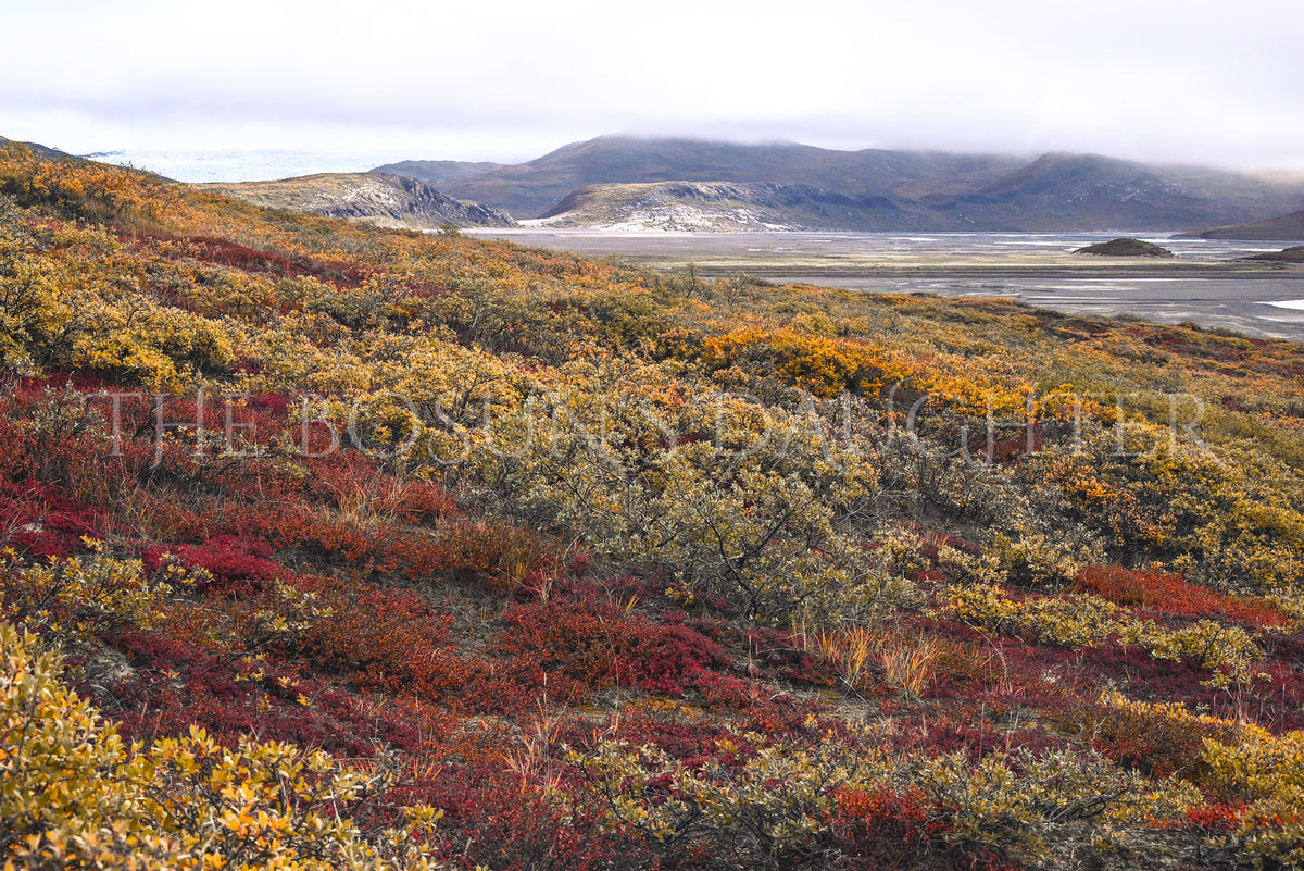 Kangerlussuaq and the Greenland Ice Sheet — Point 660