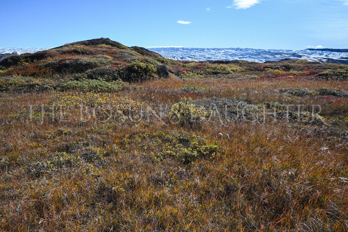 Kangerlussuaq and the Greenland Ice Sheet — Point 660
