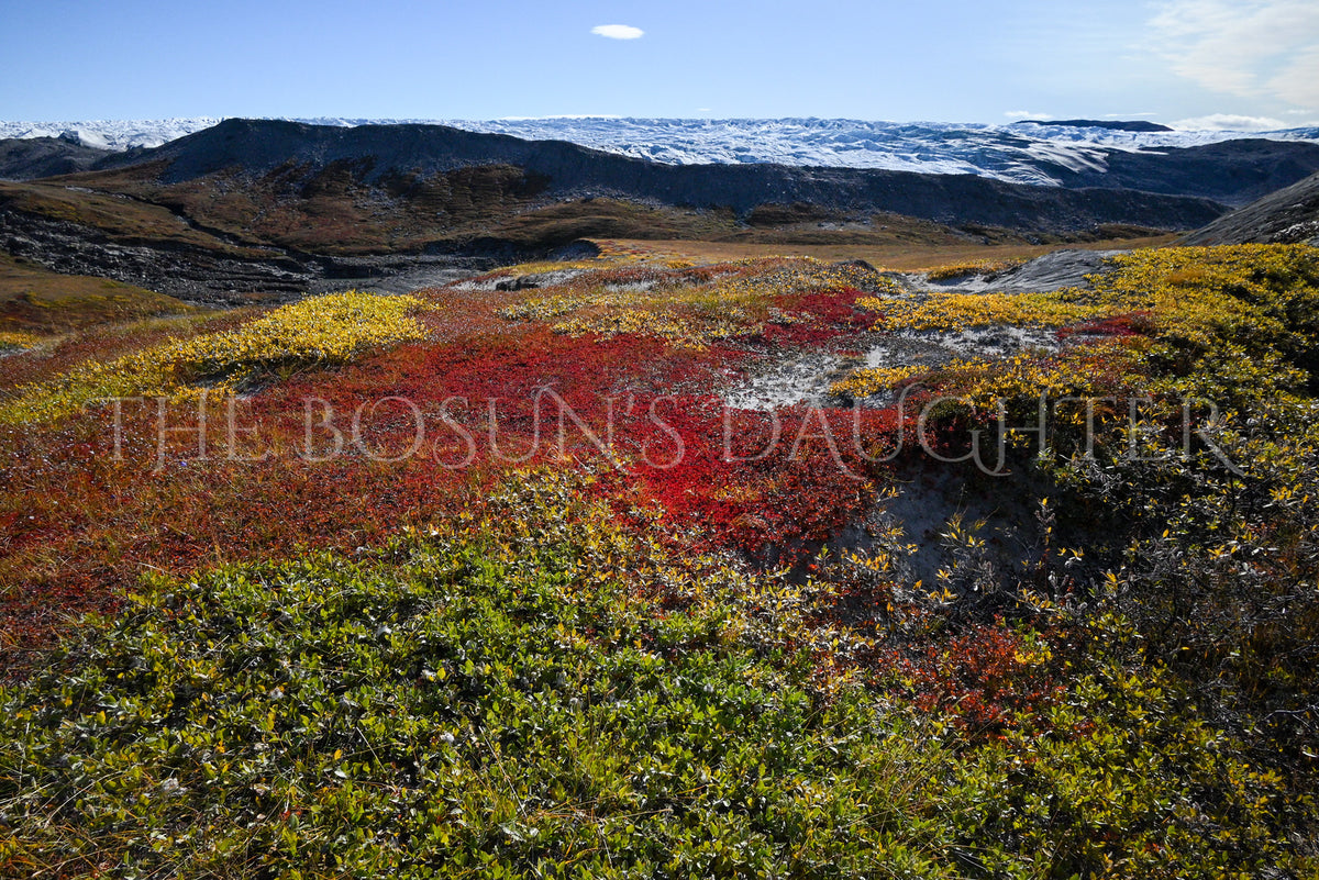 Kangerlussuaq and the Greenland Ice Sheet — Point 660