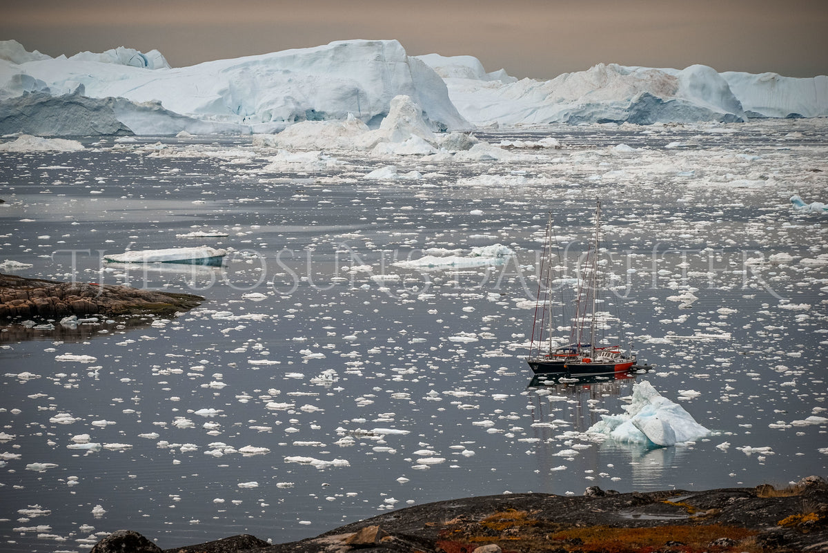 Where the Ice Meets the Coast
