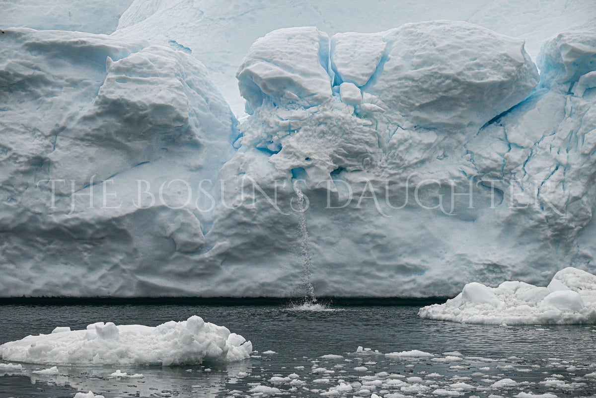 Icebergs of Disko Bay