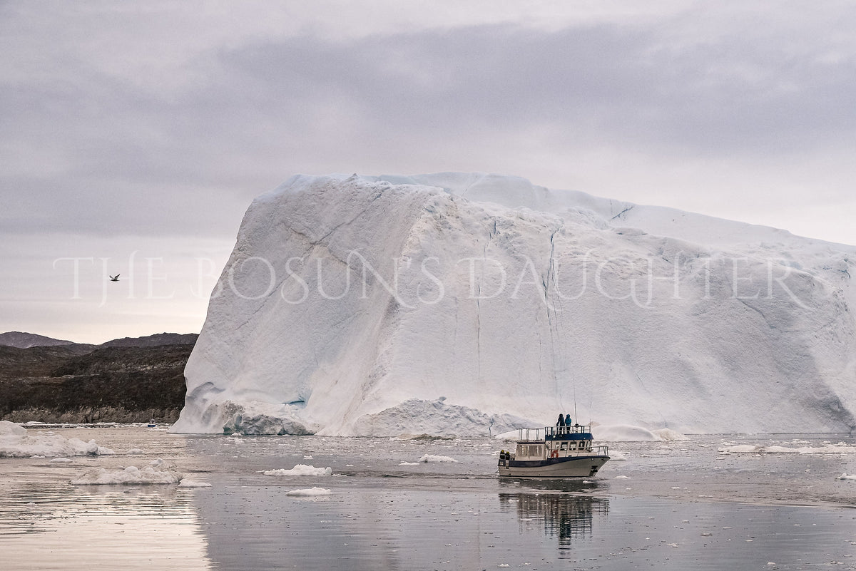 Icebergs of Disko Bay