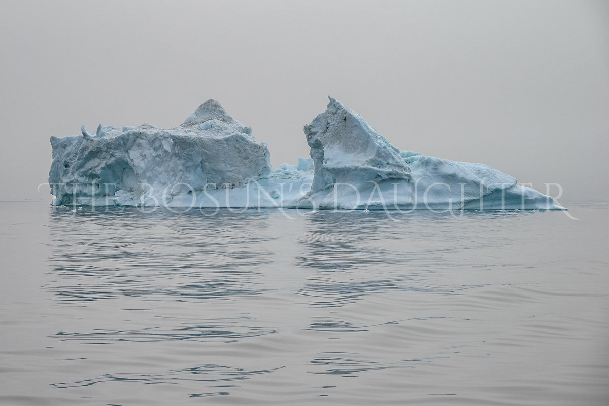 Icebergs of Disko Bay