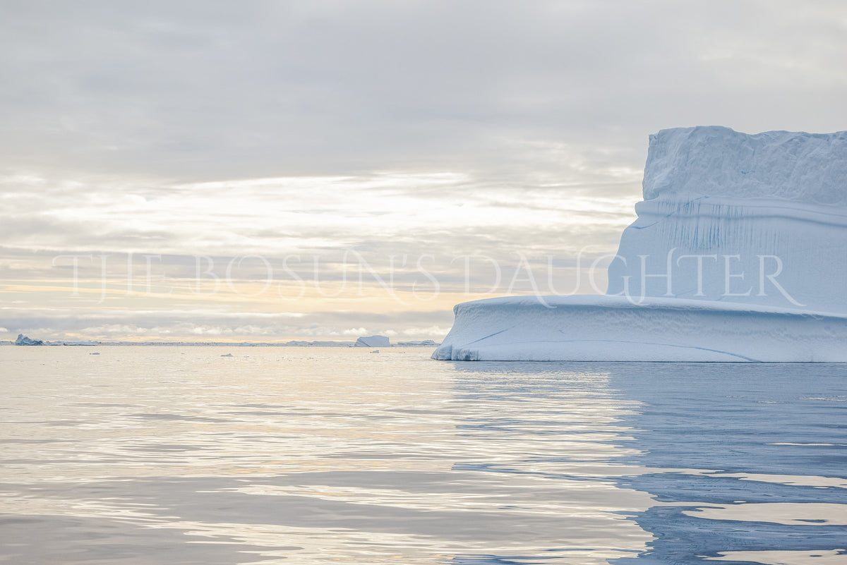 Icebergs of Disko Bay