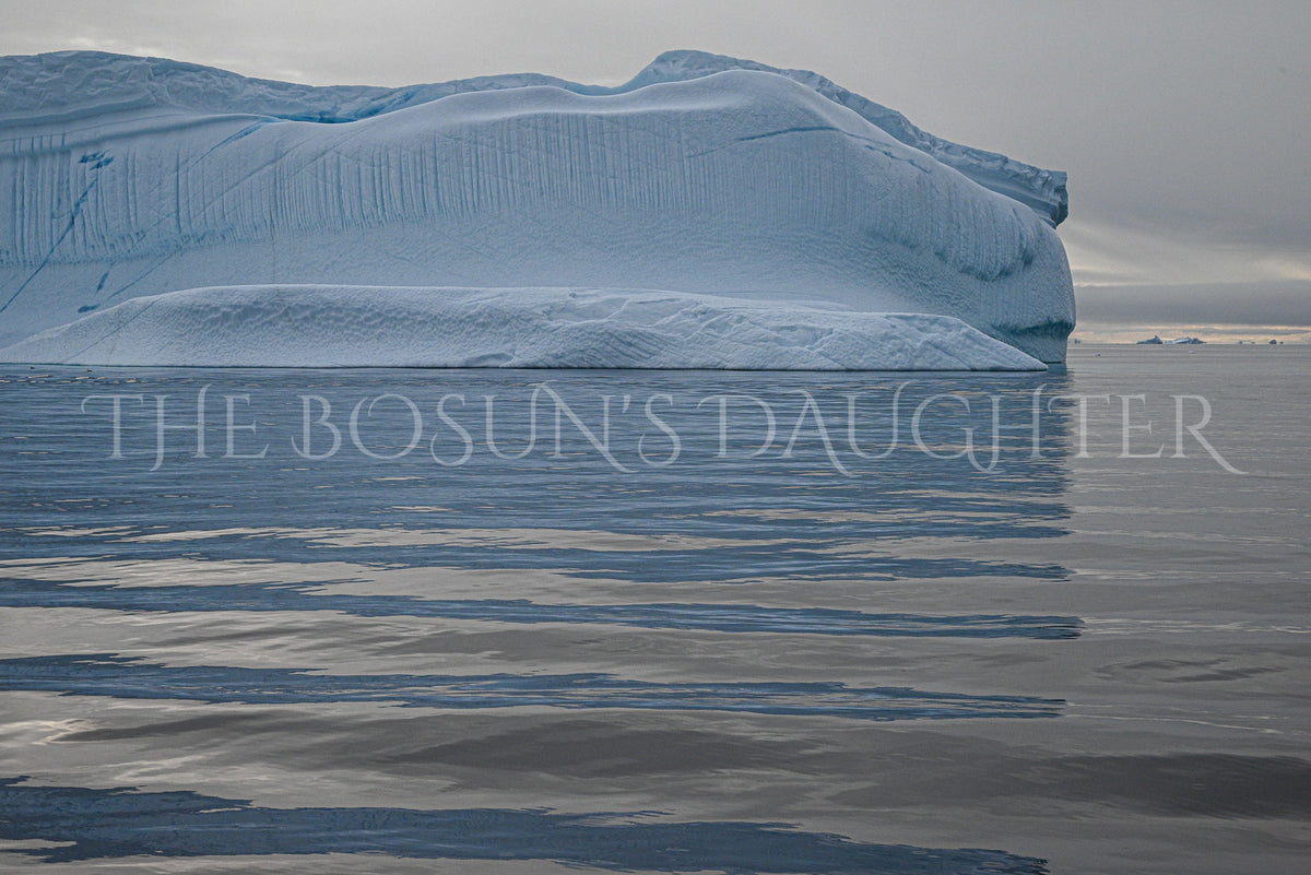 Icebergs of Disko Bay