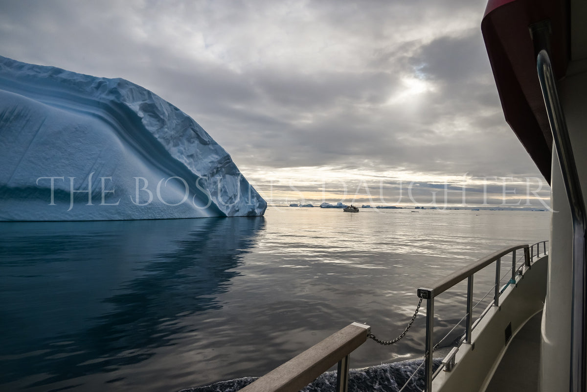 Icebergs of Disko Bay