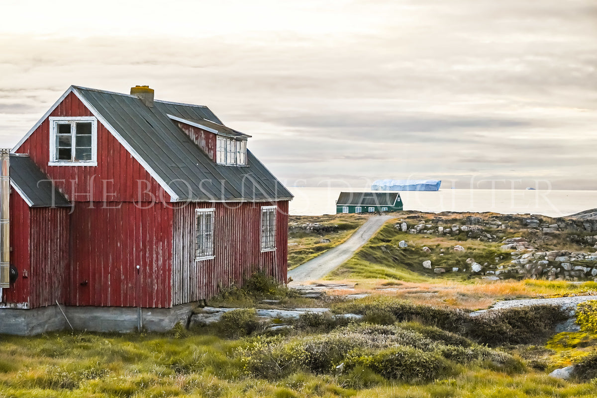 Where Life Meets the Arctic Coast