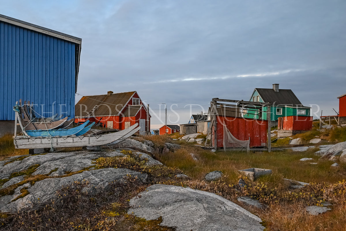 Where Life Meets the Arctic Coast