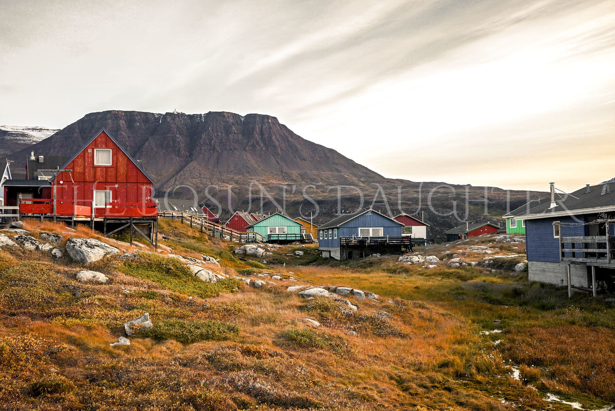 Where Life Meets the Arctic Coast
