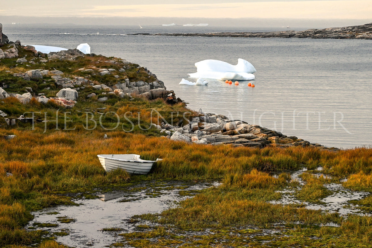 Where Life Meets the Arctic Coast