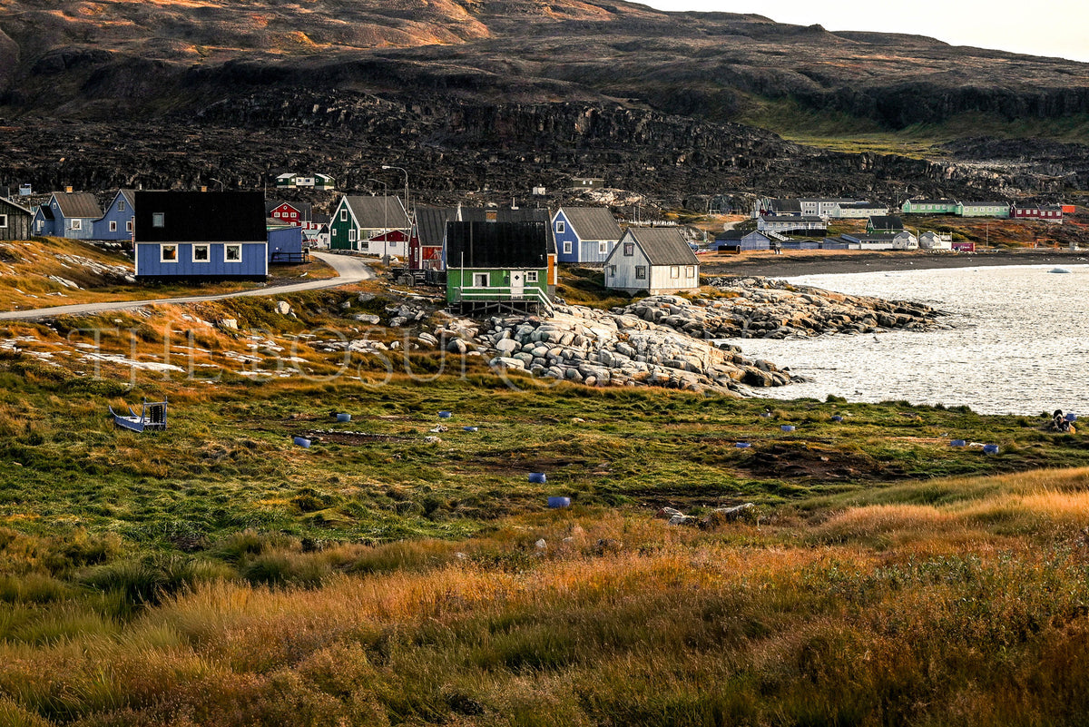 Where Life Meets the Arctic Coast