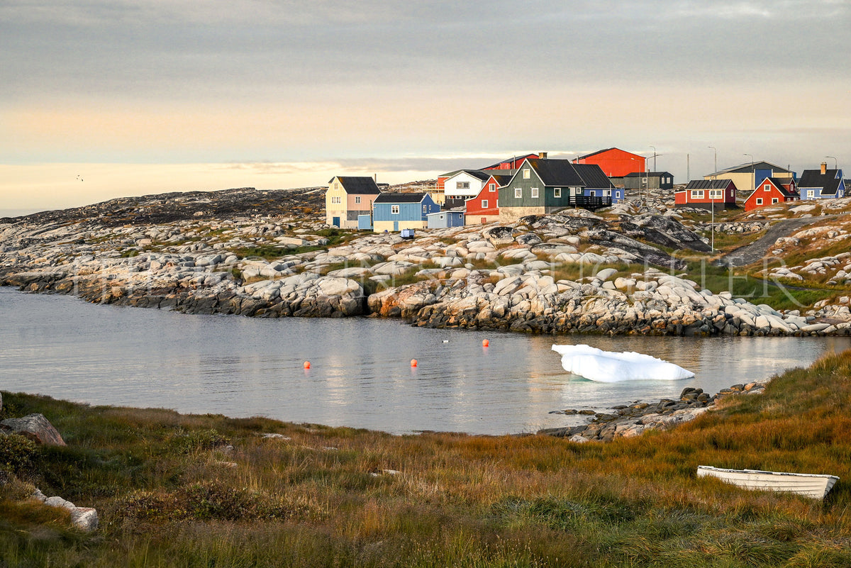 Where Life Meets the Arctic Coast