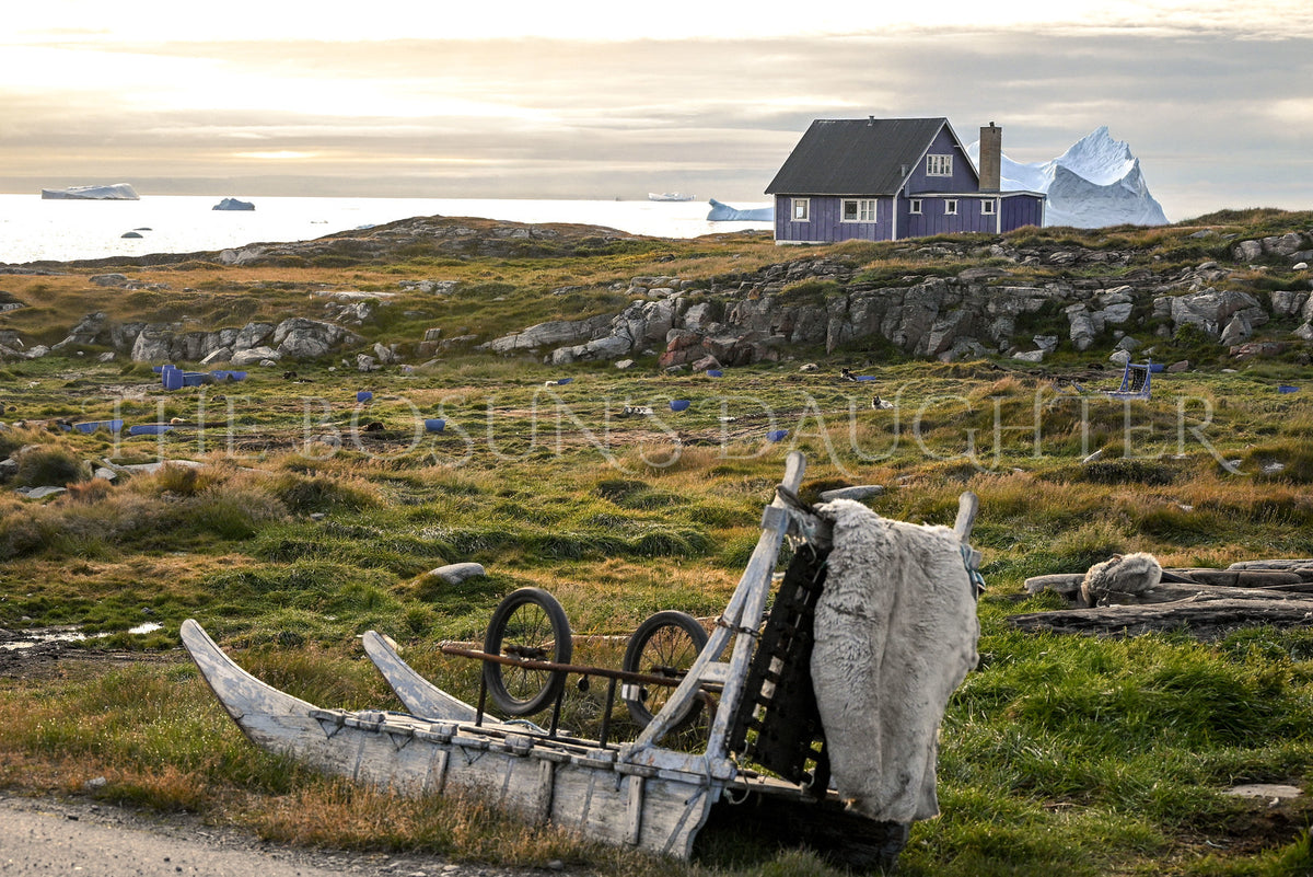 Where Life Meets the Arctic Coast
