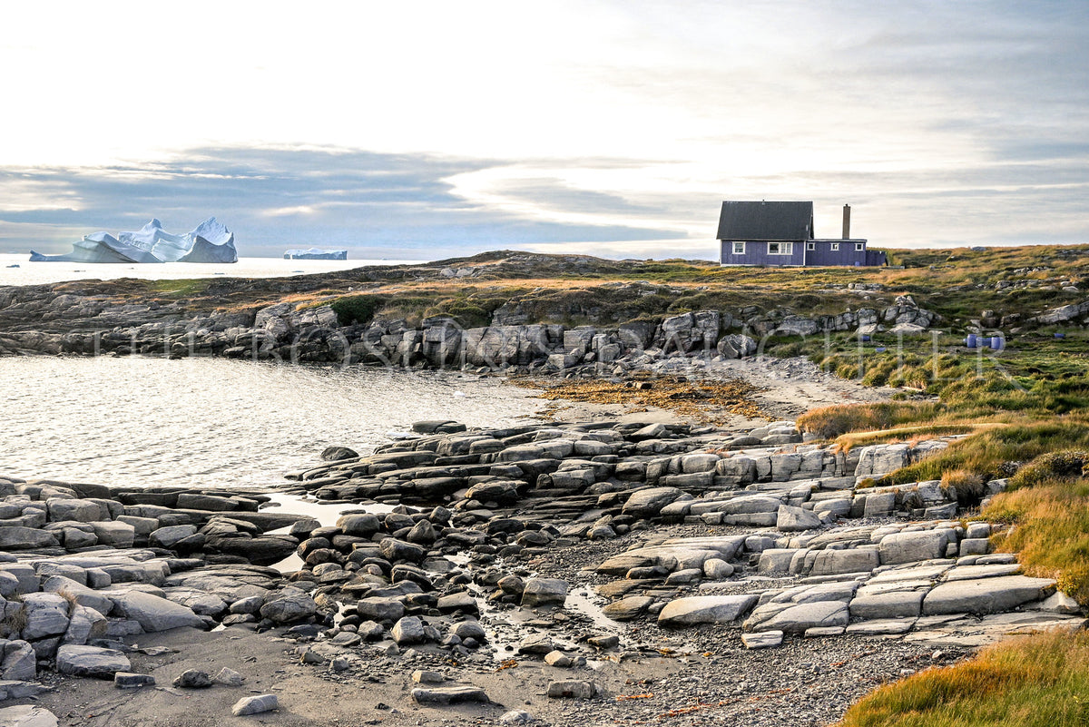 Where Life Meets the Arctic Coast