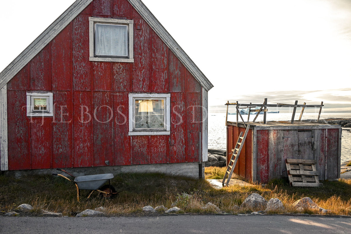 Where Life Meets the Arctic Coast