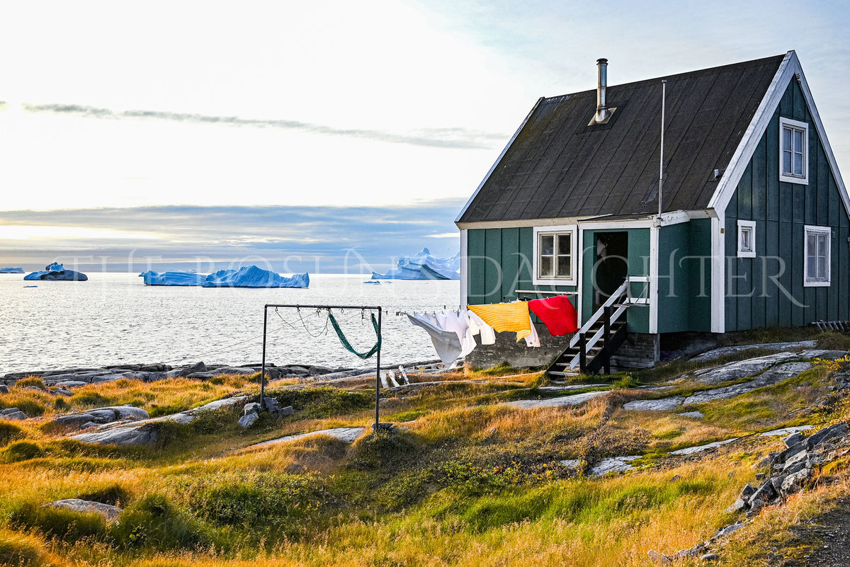 Where Life Meets the Arctic Coast