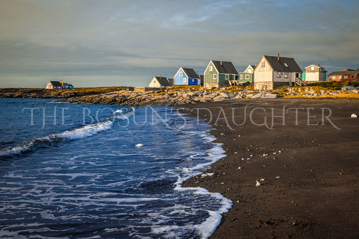 Where Life Meets the Arctic Coast