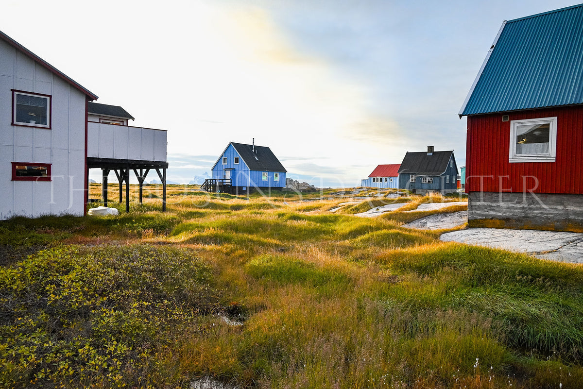 Where Life Meets the Arctic Coast