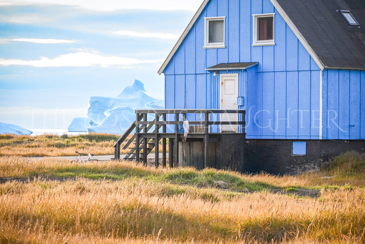 Where Life Meets the Arctic Coast