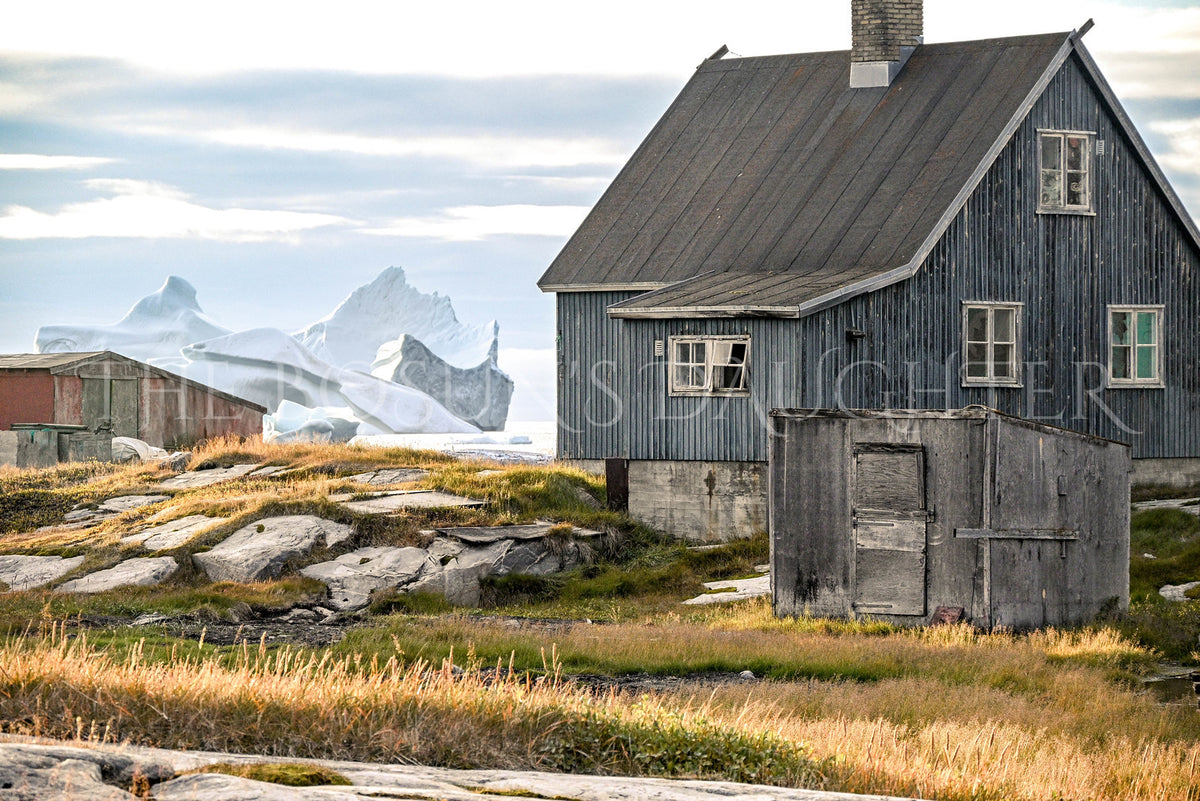 Where Life Meets the Arctic Coast