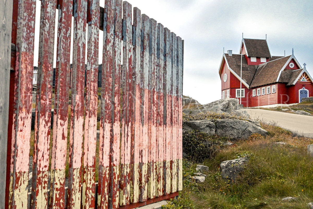 Where Life Meets the Arctic Coast
