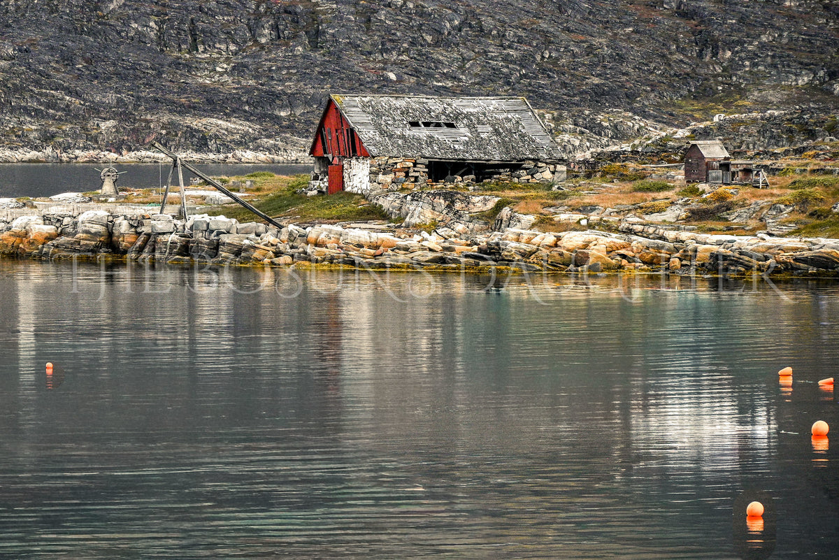 Where Life Meets the Arctic Coast
