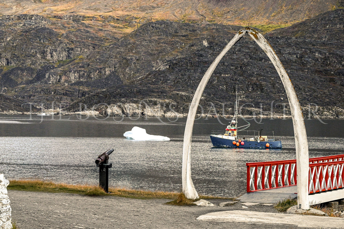 Where Life Meets the Arctic Coast