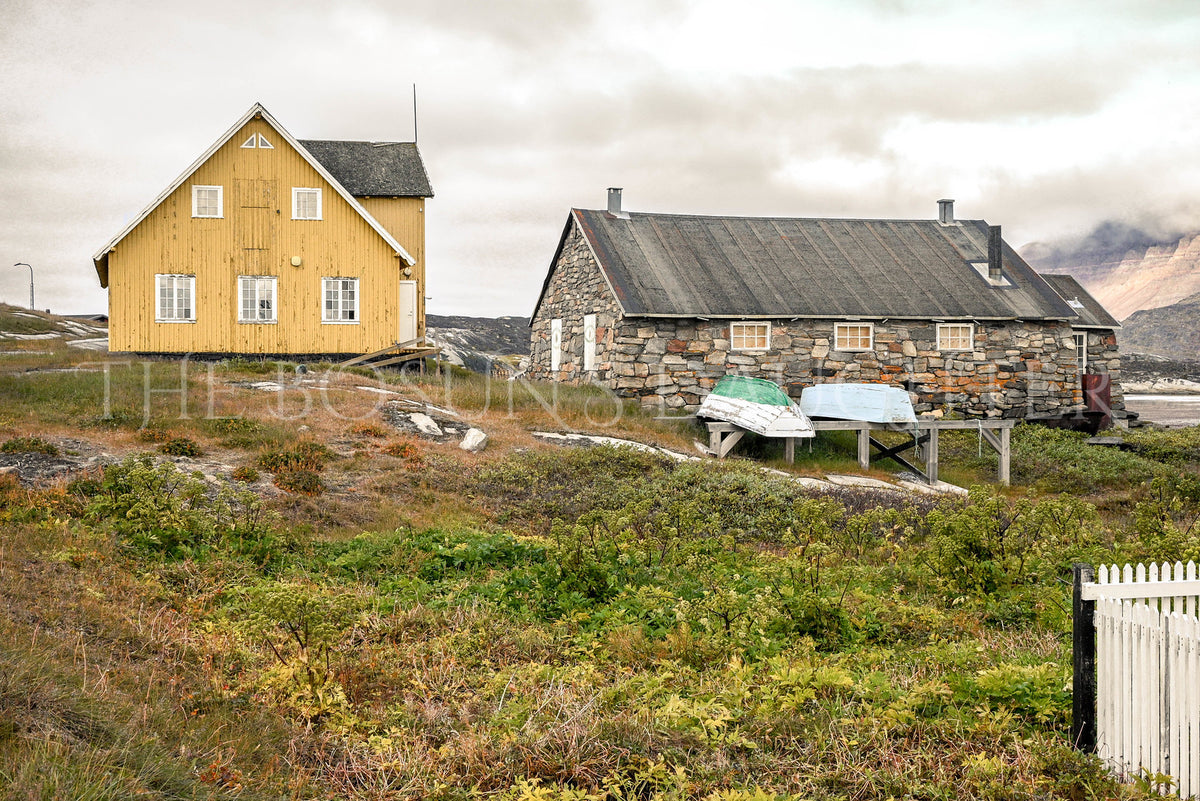 Where Life Meets the Arctic Coast