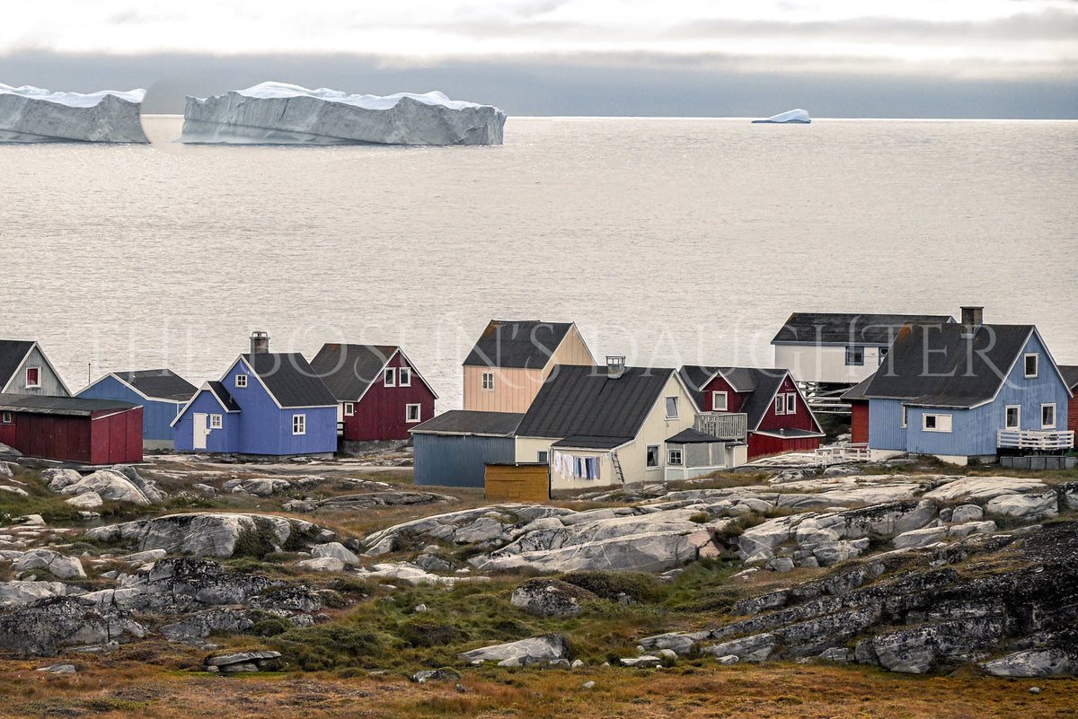 Where Life Meets the Arctic Coast