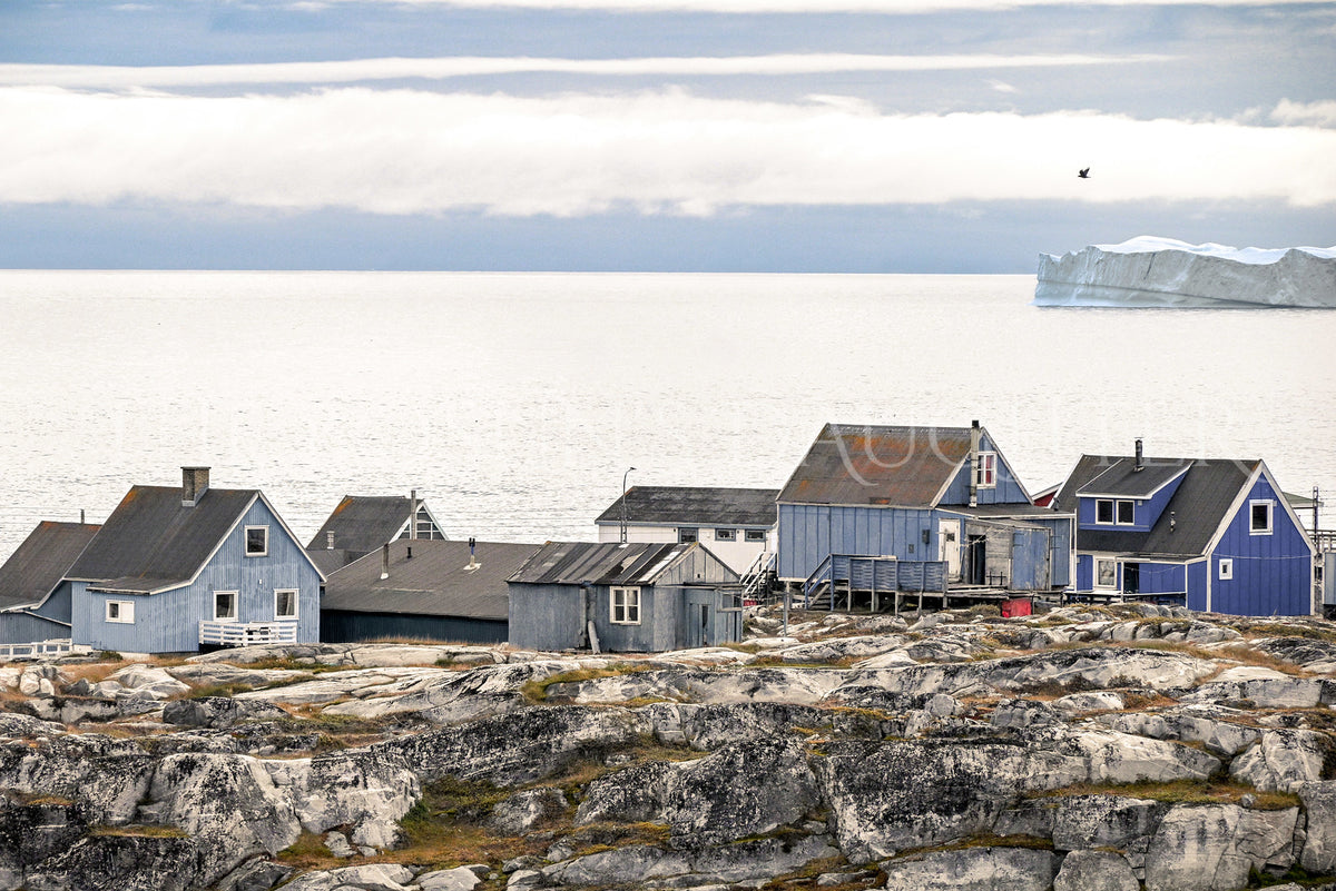 Where Life Meets the Arctic Coast