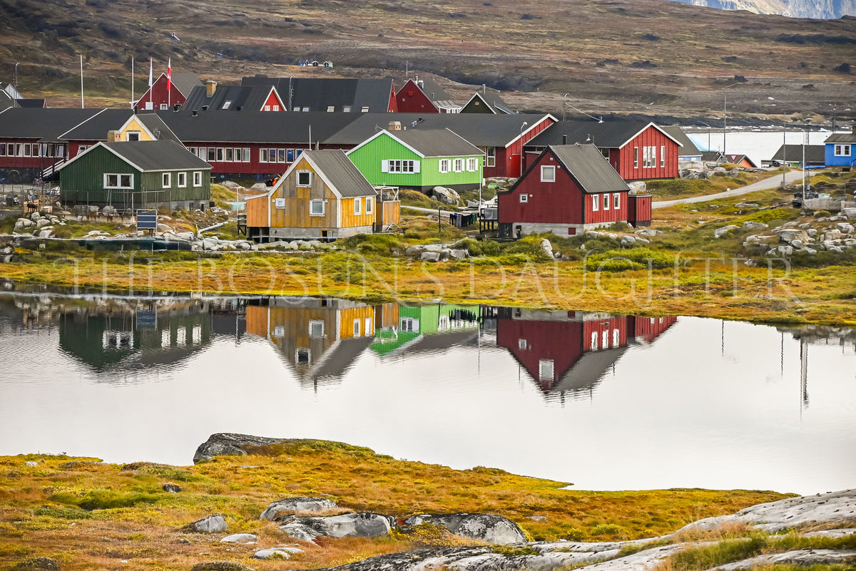 Where Life Meets the Arctic Coast