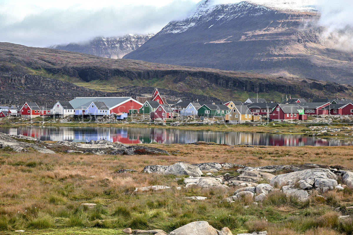 Where Life Meets the Arctic Coast