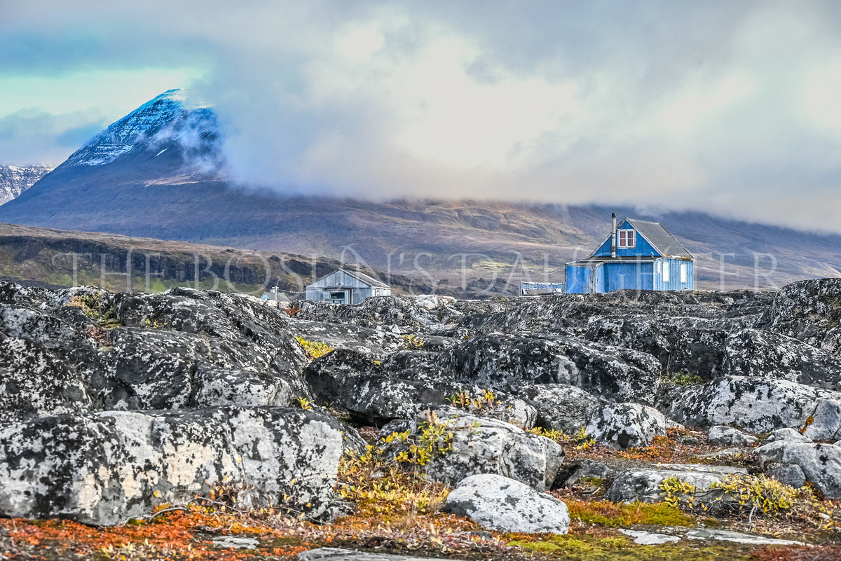 Where Life Meets the Arctic Coast