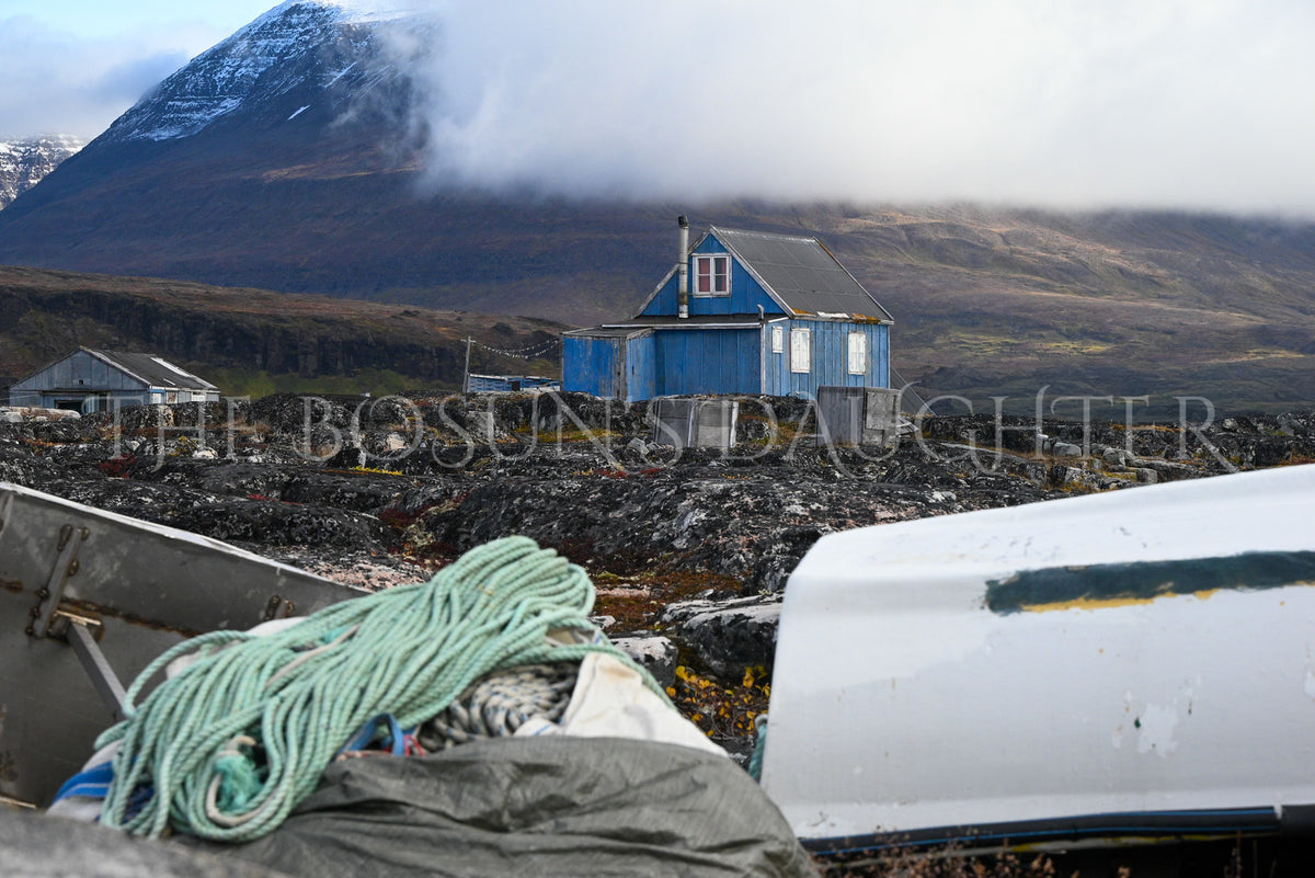 Where Life Meets the Arctic Coast